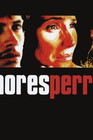 Xem phim Kẻ Vô Đạo - Amores perros (2000)