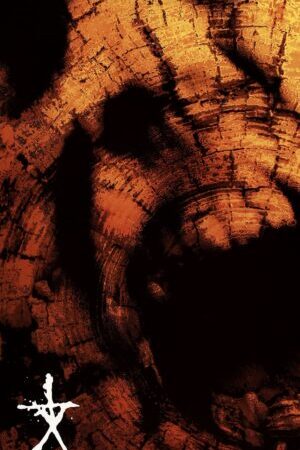 Xem phim Phù Thủy Rừng Blair 2 Quyển Sách Bóng Đêm - Book of Shadows Blair Witch 2 (2000)