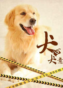 Xem phim Quyết Tâm Của Chó - A Dogs Life (2016)