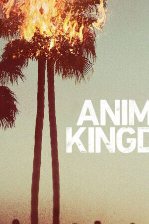 Xem phim Vương quốc động vật ( 1) - Animal Kingdom (Season 1) (2016)