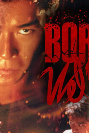 Xem phim Dã Chiến Giang Hồ - Born Wild (2001)