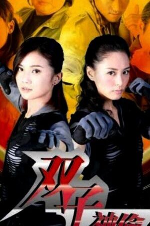 Xem phim Song Tử Môn - Twins Mission (2007)