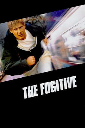 Xem phim Kẻ Đào Tẩu  - The Fugitive (1993)