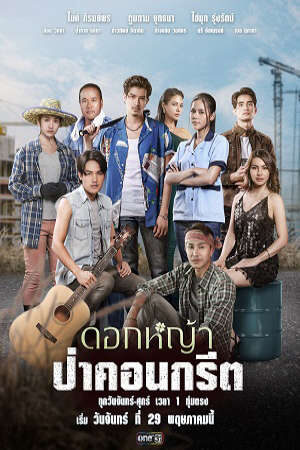 Xem phim Hoa Dại Giữa Thành Phố  - A Wildflower in the City (2023)