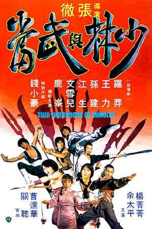 Xem phim Thiếu Lâm Và Võ Đang  - Two champions of Shaolin (1980)